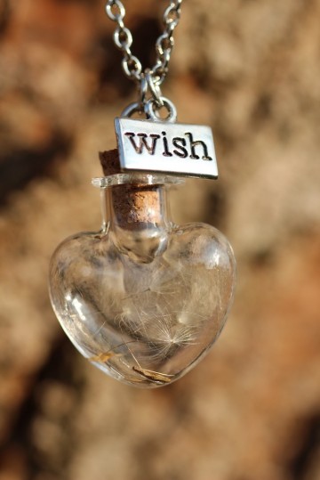 Ketting paardenbloem pluisje hart met kurk wish