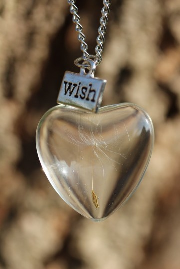 Ketting paardenbloem pluisje hart wish