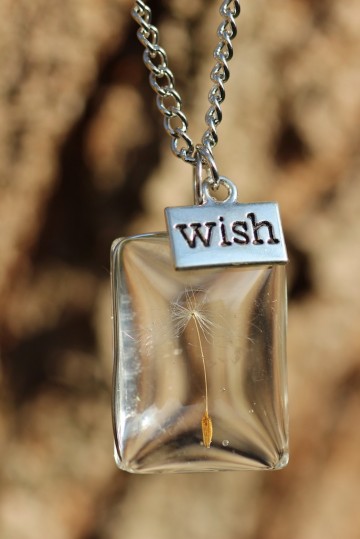 Ketting paardenbloem pluisje rechthoek wish