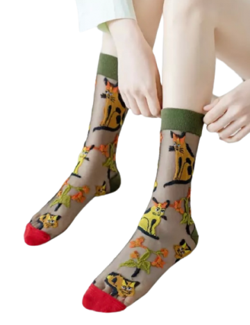 Transparant katten aan voet vrij van achtergrond